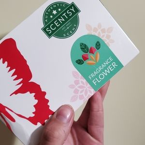 Very Snowy Spruce Fragrance Flower